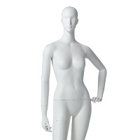 人體模型