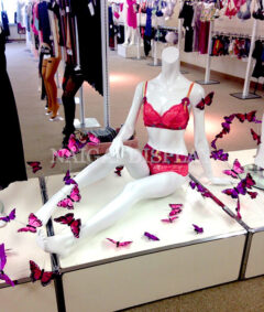 Case studies, store displays